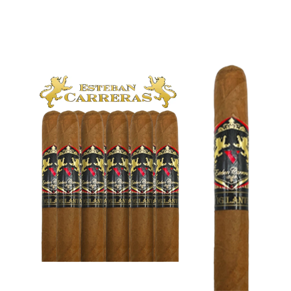 Esteban Carreras Vigilante Natural Toro 6x50 - 10ct